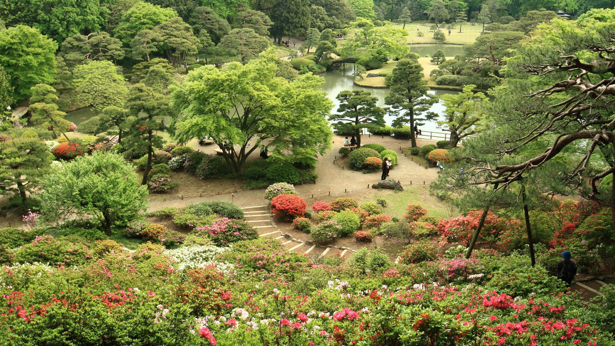 Lush garden landscape with blooming flowers and a pond.