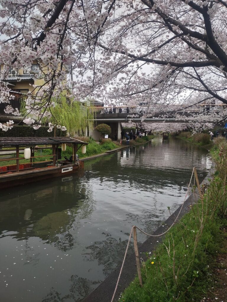 Sakura and Canal Boats at Fushimi Benten Bridge
