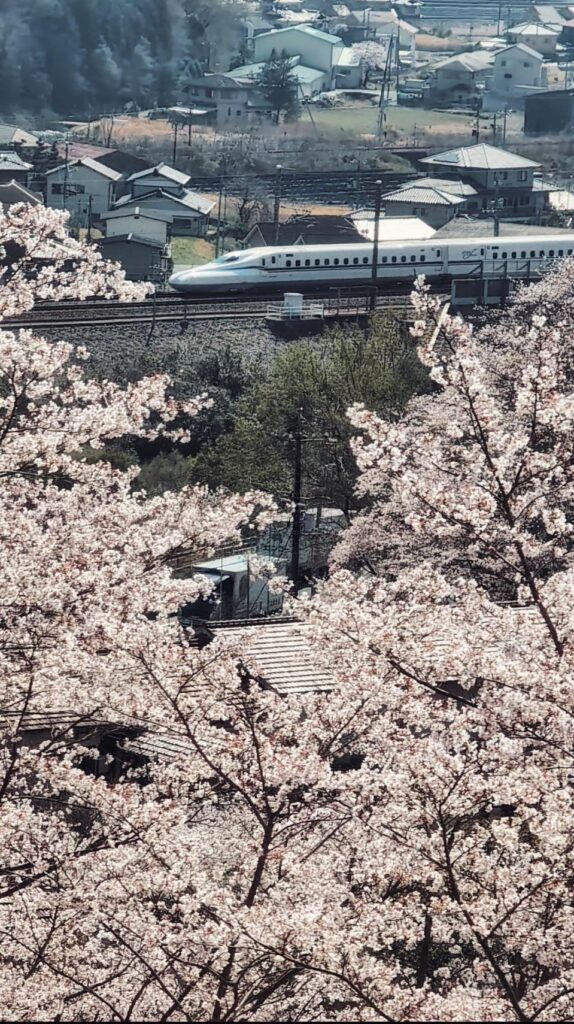shinkansen going by small villages