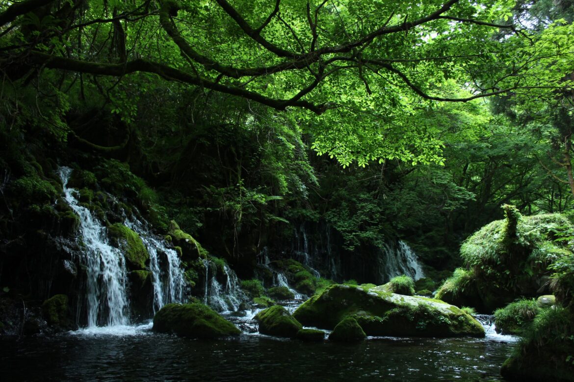 You heard it here, Fukushima is the best prefecture