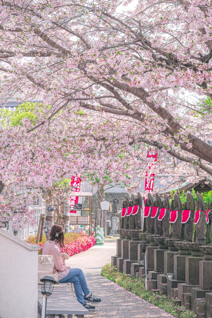 Yanaka,Tokyo [OC]