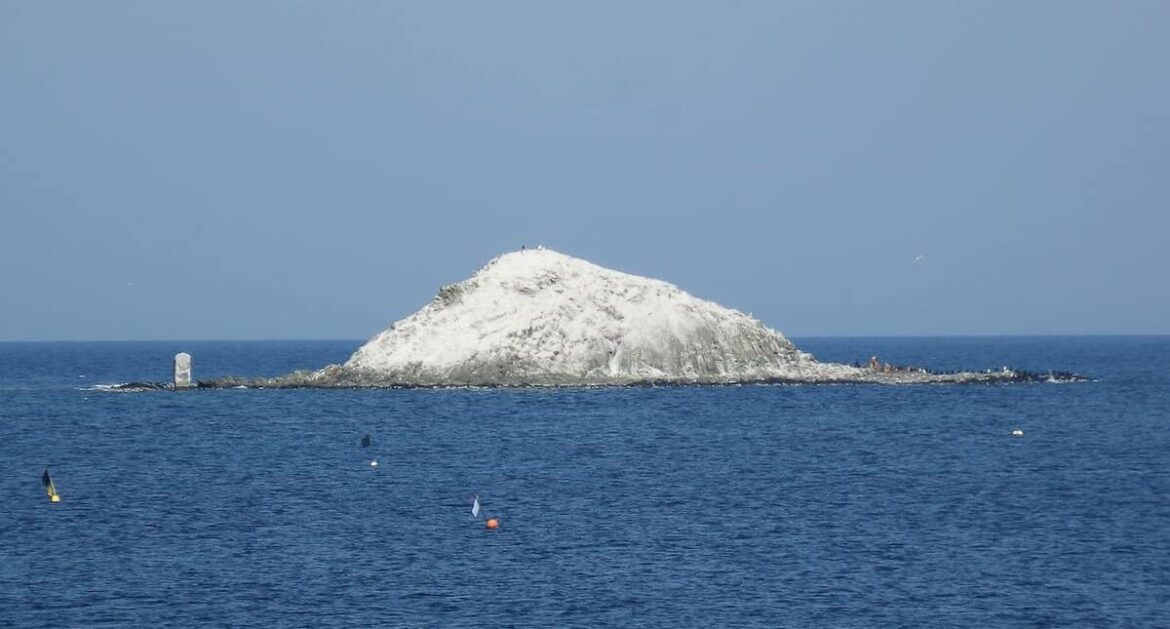 9 Japanese Divers Rescued After Being Lost At Sea