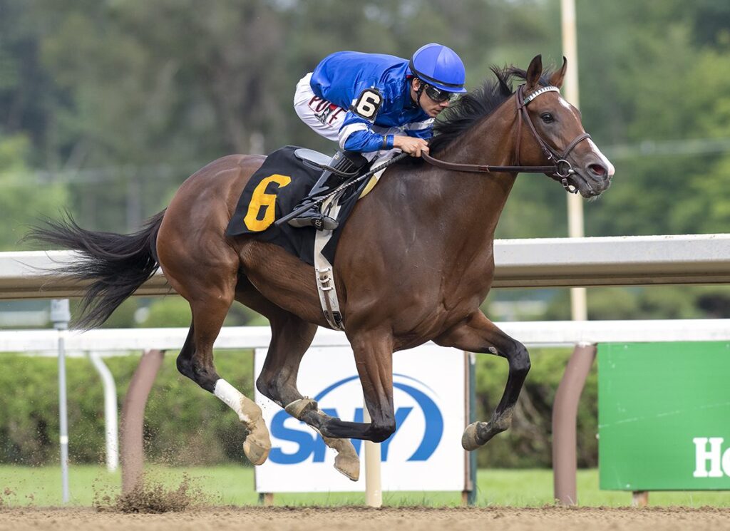 Union Rags Homebred All 'Dressed' Up at Tokyo