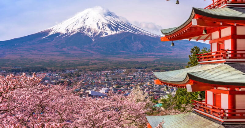 A snow-capped Mount Fuji rises in the background behind cherry blossoms and a traditional Japanese pagoda, overlooking a cityscape on a clear day.