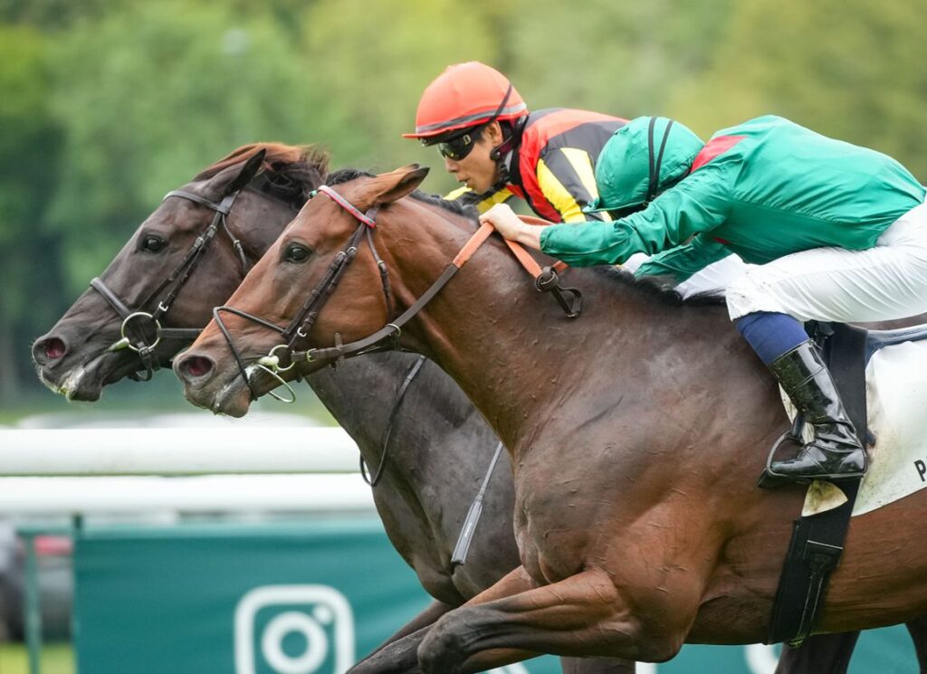 Croix Du Nord Faces Stiff Challenge In Osaka Hai