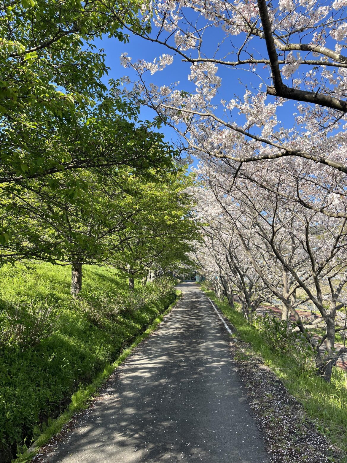 Today’s weather was fantastic [OC]