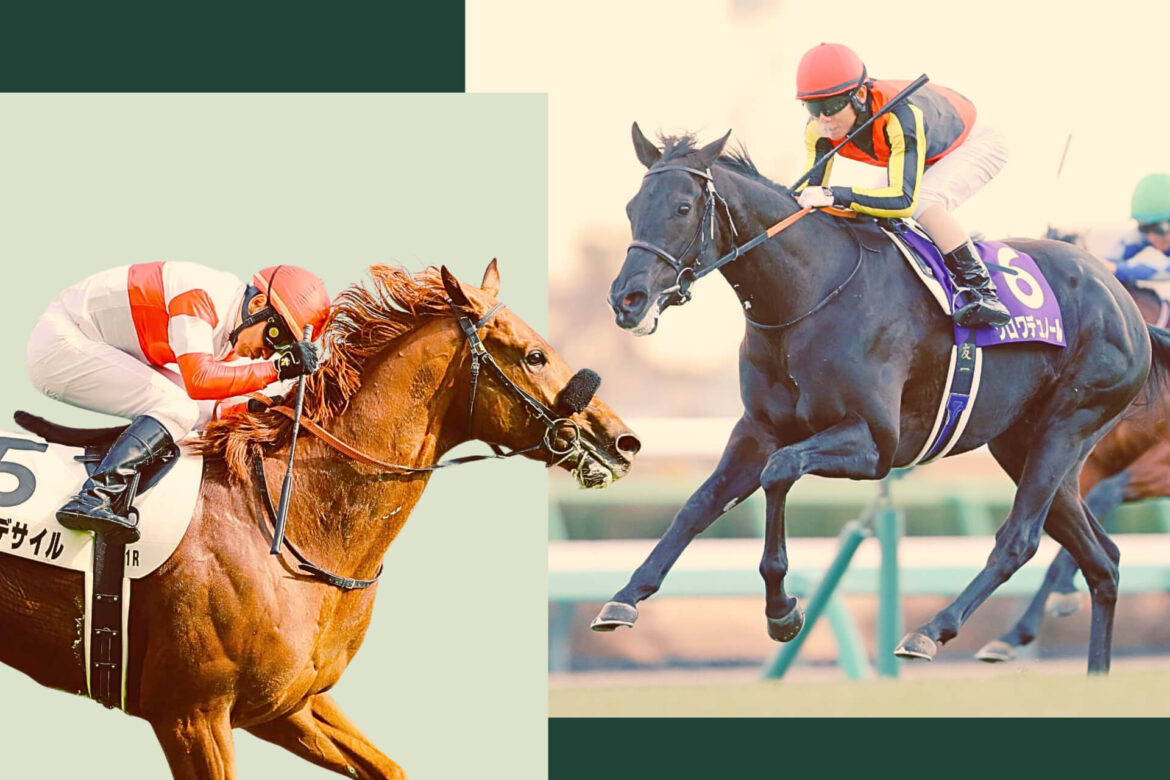 2026 G1 Osaka Hai key contenders Danon Decile and Croix Du Nord