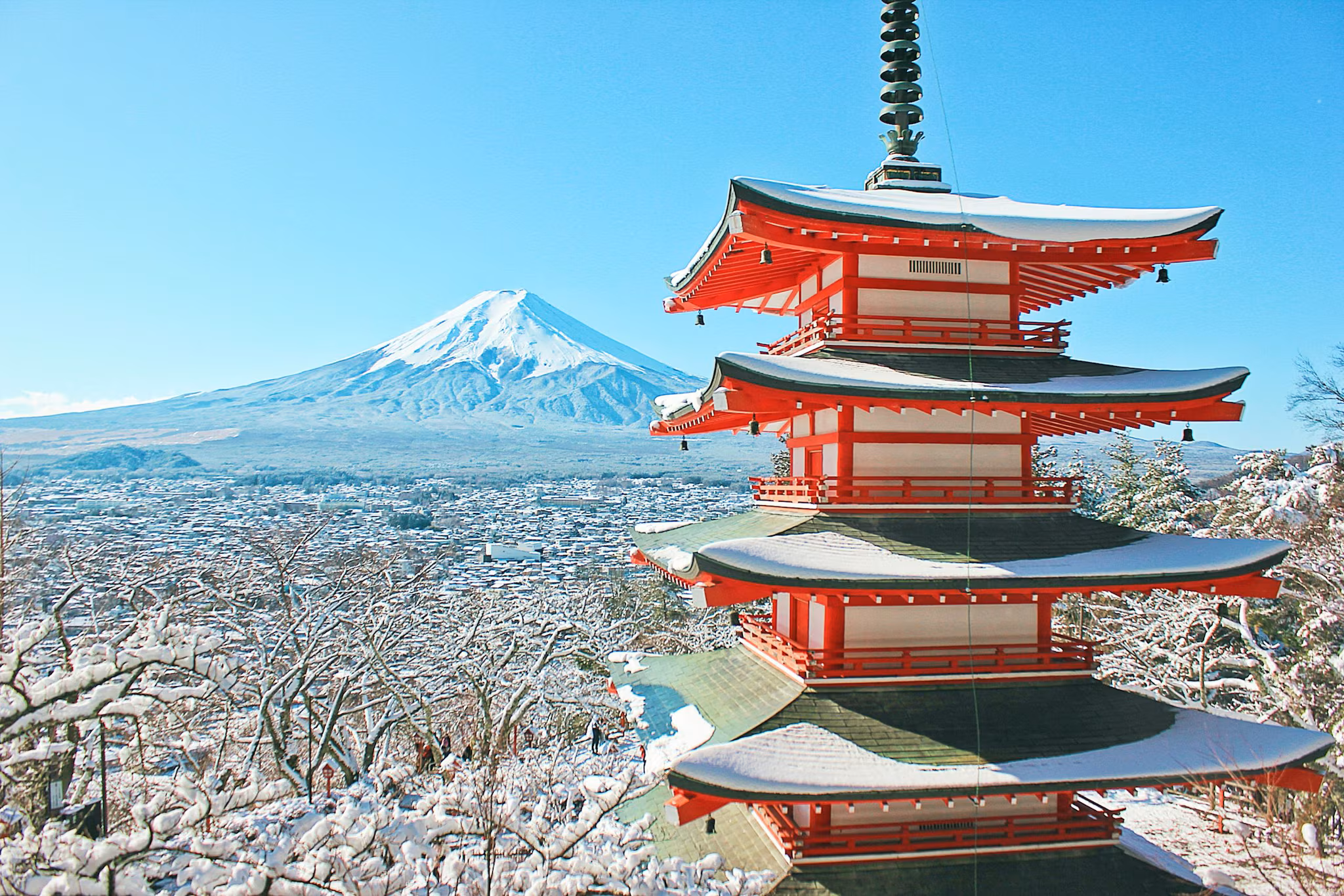 Reportedly, Sakura season is a massive driver of Japanese economy. The season boosts tourism, retail, and hospitality as millions of domestic and international travellers flock to famous viewing spots. (Image: Unsplash)