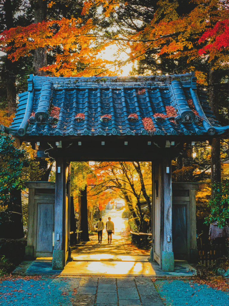 things to do in nagoya