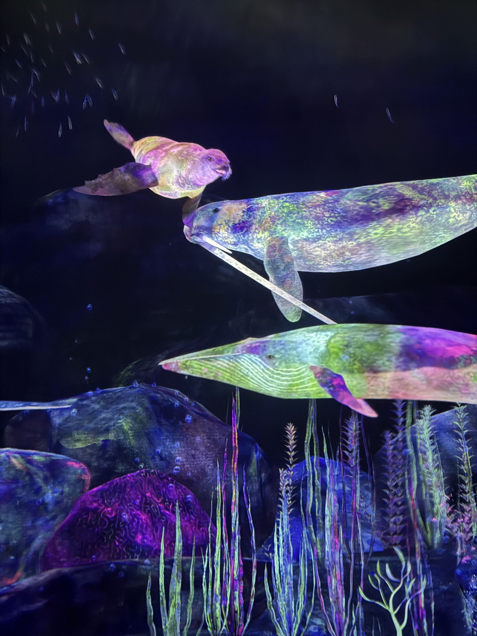Team Lab Planets in Tokyo, Japan 