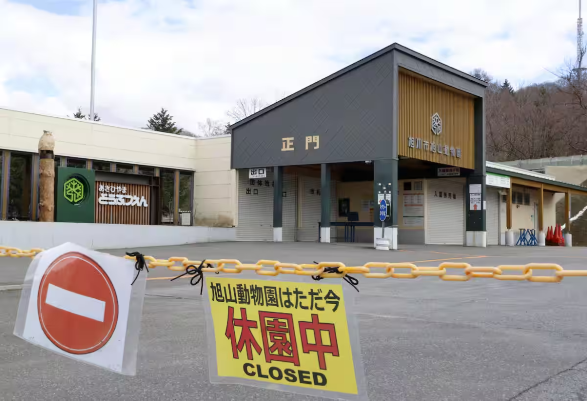 Asahiyama Zoo