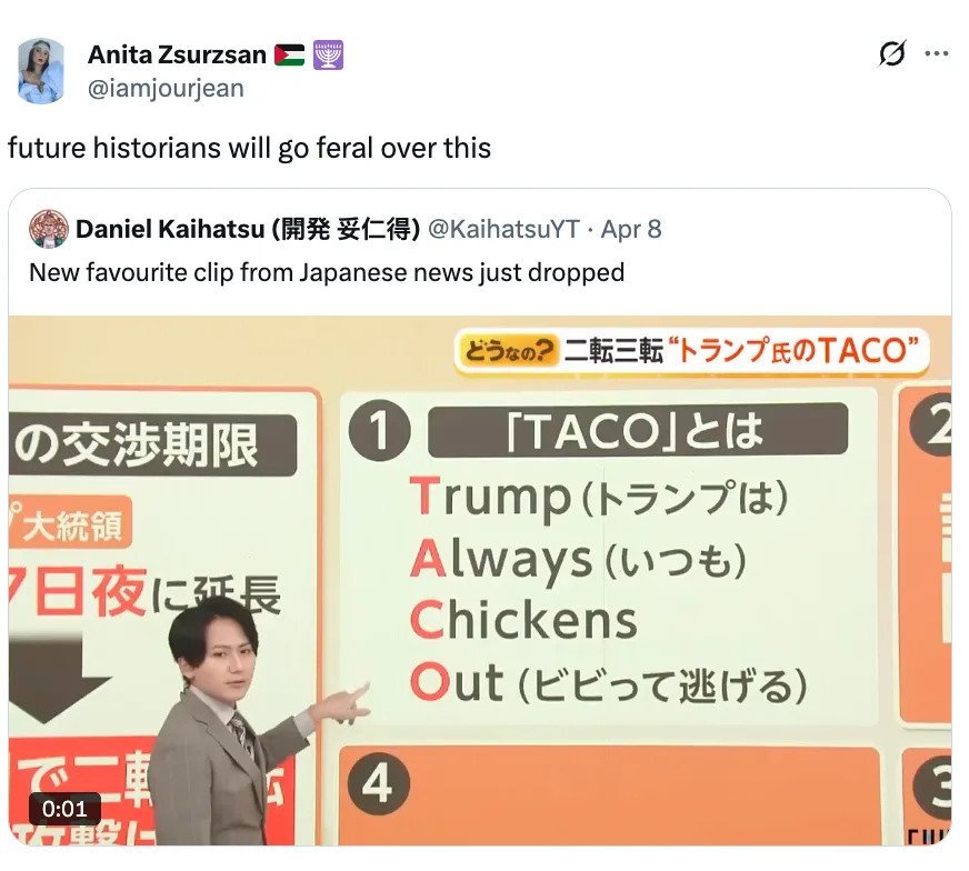 A person in a suit points at a humorous display showing "TACO" as an acronym for "Trump Always Chickens Out" in a presentation slide