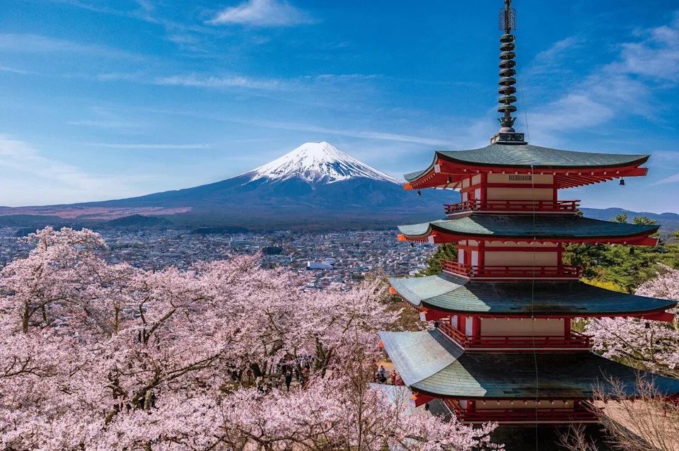 The city says this photo of Arakurayama Sengen Park started making the rounds online about 10 years ago, and believes it’s responsible for most of its tourism today.