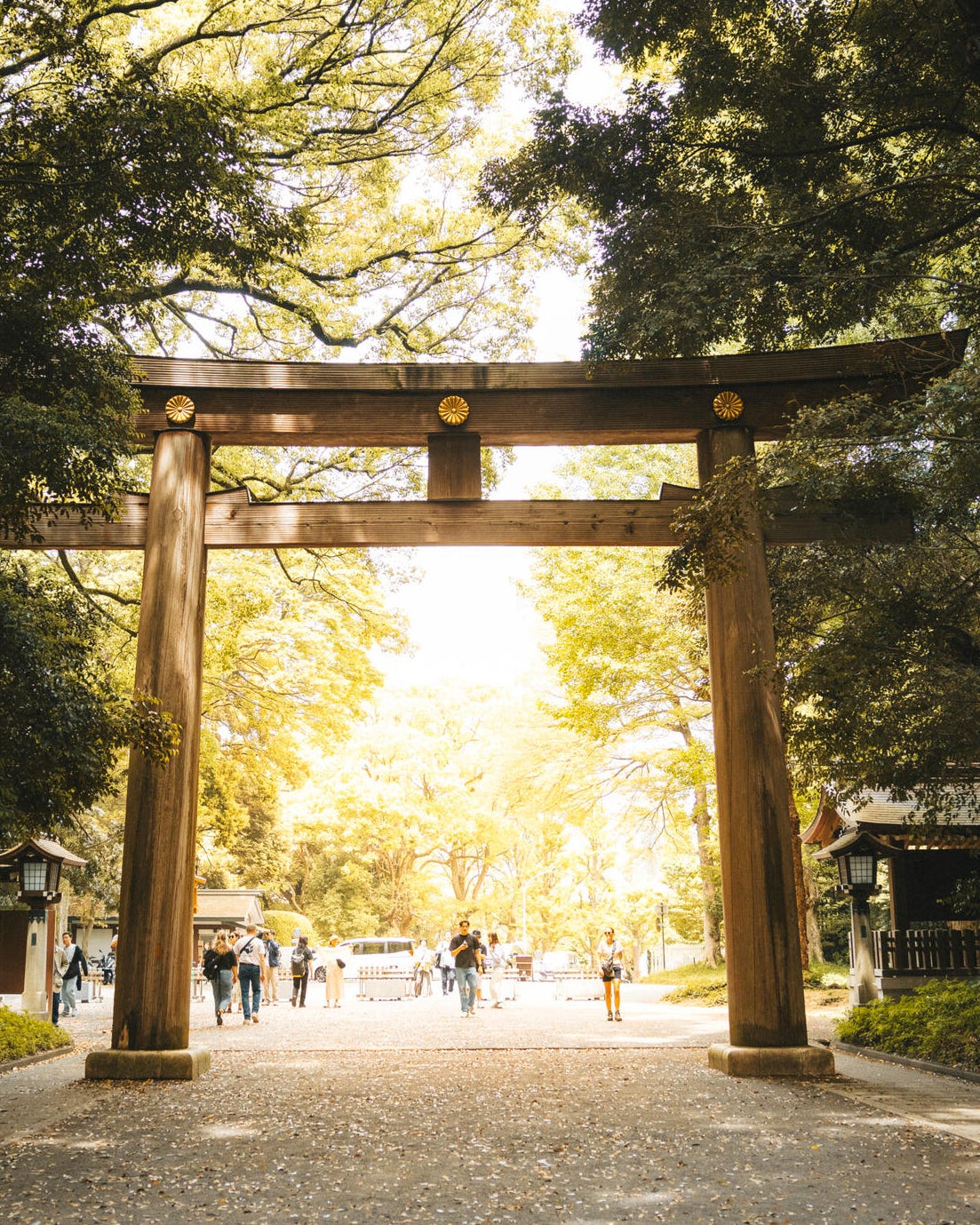 Traditional Japanese torii gate leading to a park entrance.