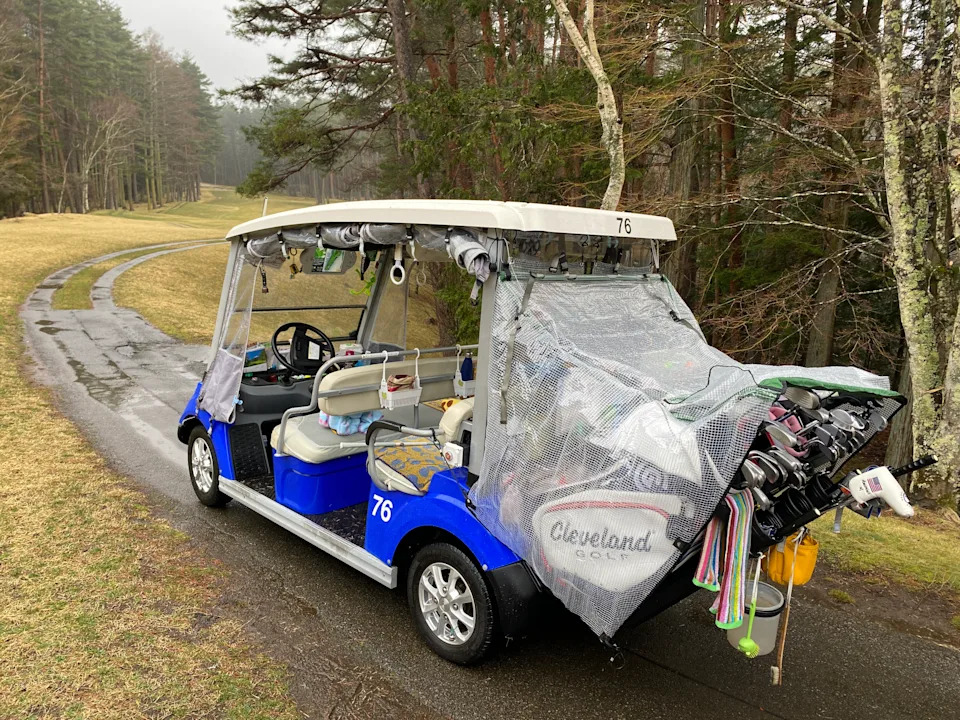 Golf cart 