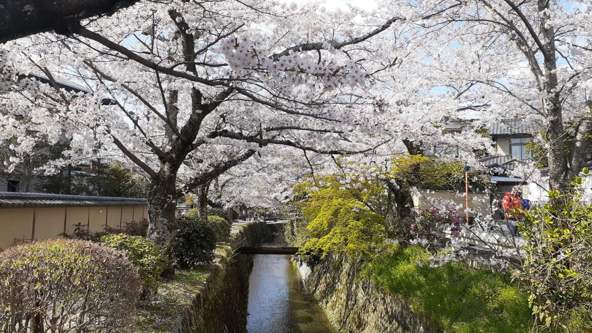 Philosopher's Path, Kyoto