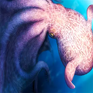 A sketch of the giant octopus, Cirrata, that ruled Earth's oceans over 100 million years ago. Credit: Yohei Utsuki, Department of Earth and Planetary Sciences, Hokkaido University