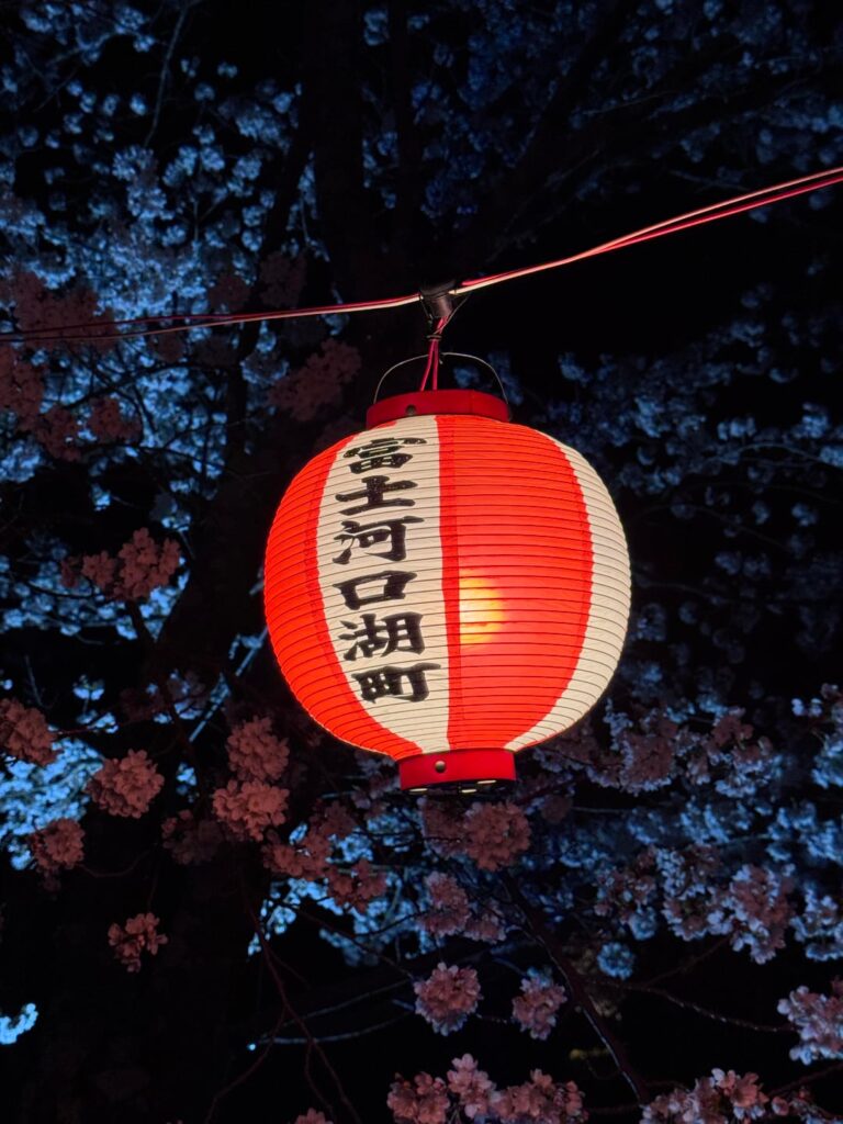 Hanami in Fujikawaguchiko and Yoshida City