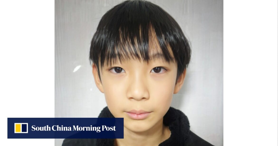Frustration, speculation mount in Japan as search for missing boy drags on