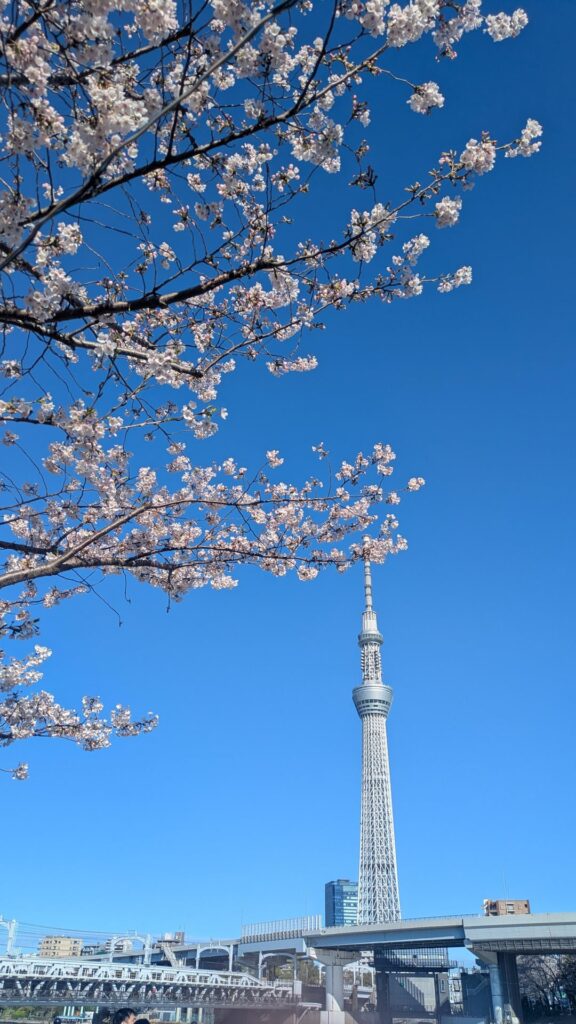 Nice Spring Day, Sumida River, Tokyo