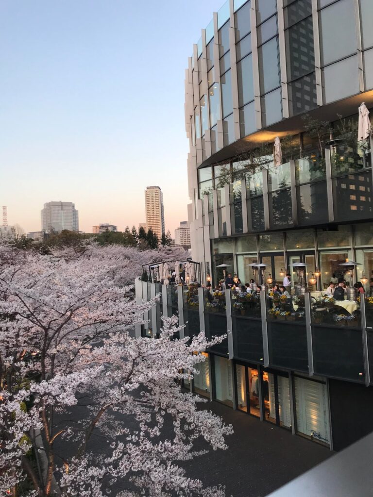 Spring evening in Tokyo 🌸