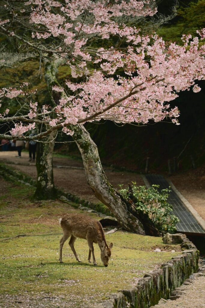 Can it get any more beautiful that this?