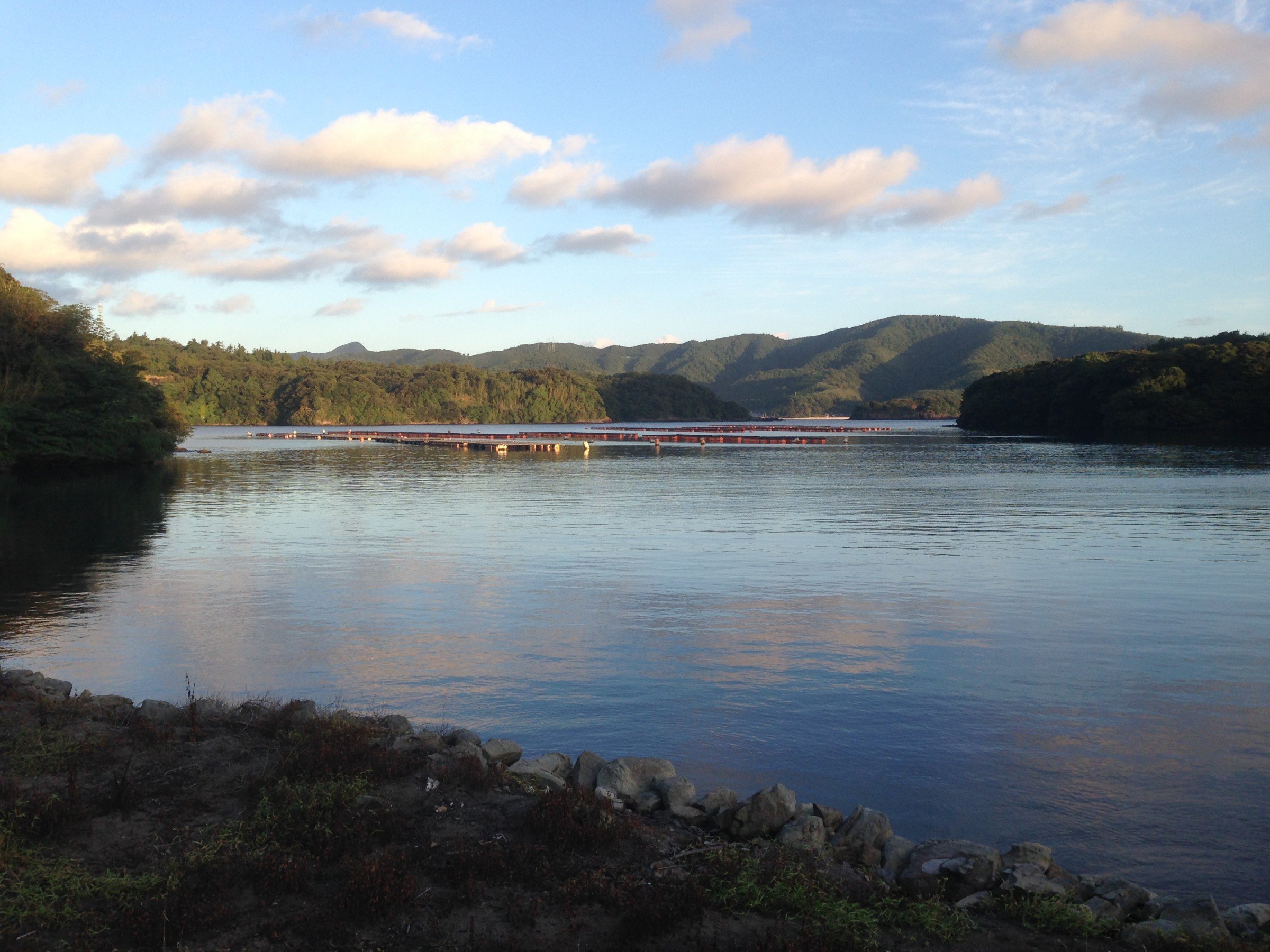 Beautiful Nakanoshima