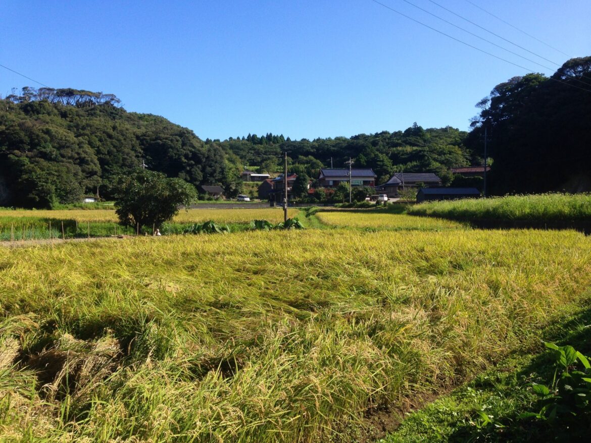 Lanes of Nakanoshima