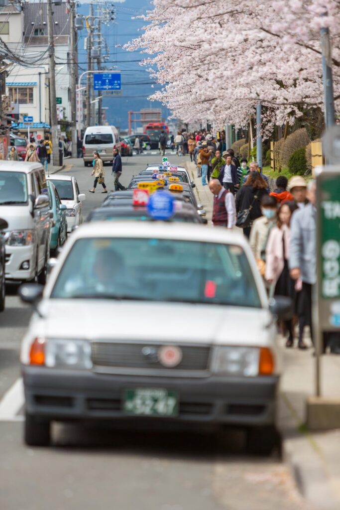 Throwback to Kyoto 2014 sakura season | OC | 2014-04