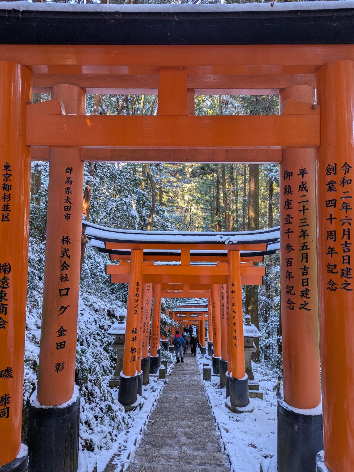 Torii gates, Kyoto