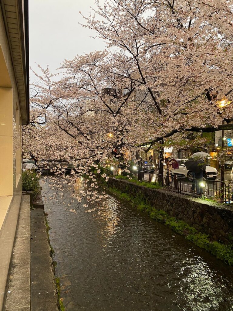 Shots of a canal in Kyoto