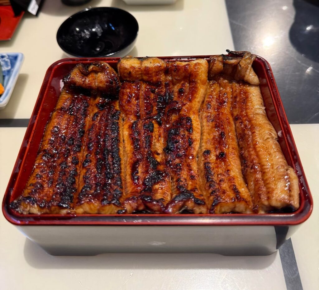 Wild Unagi at うなぎ 魚政. Best Unajyu in Tokyo Wild Unagi at うなぎ 魚政. Best Unajyu in Tokyo