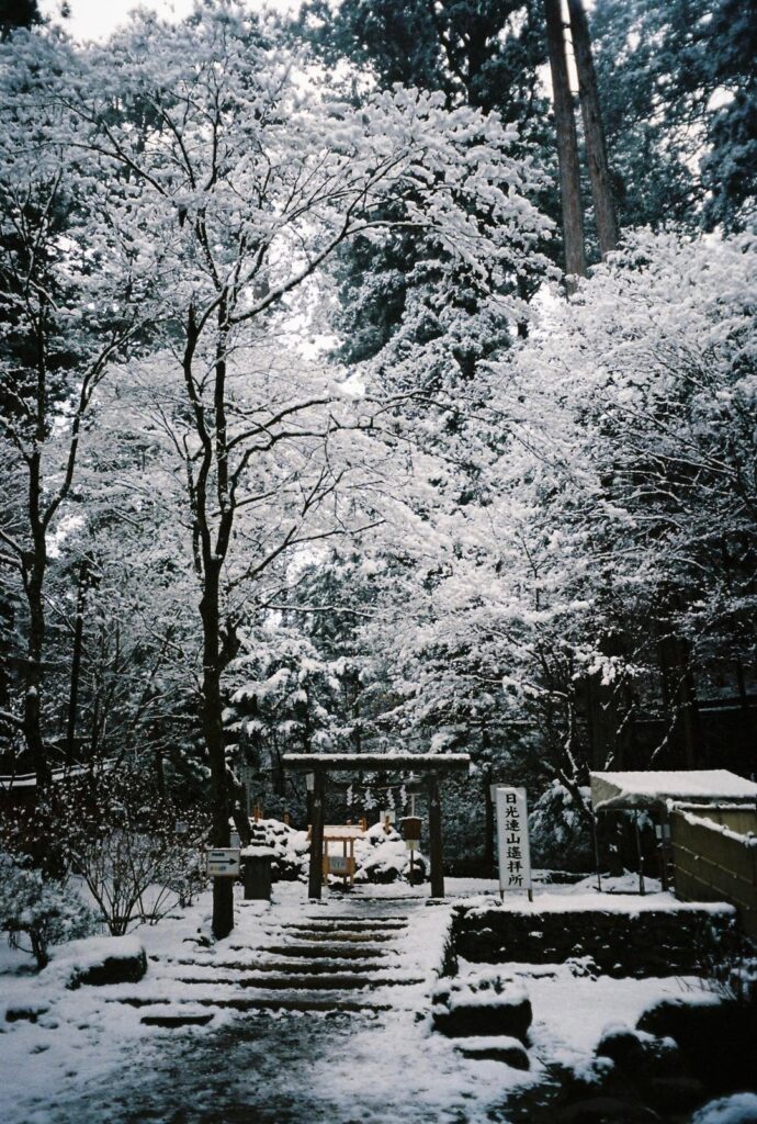 Nikkō is magical in wintertime