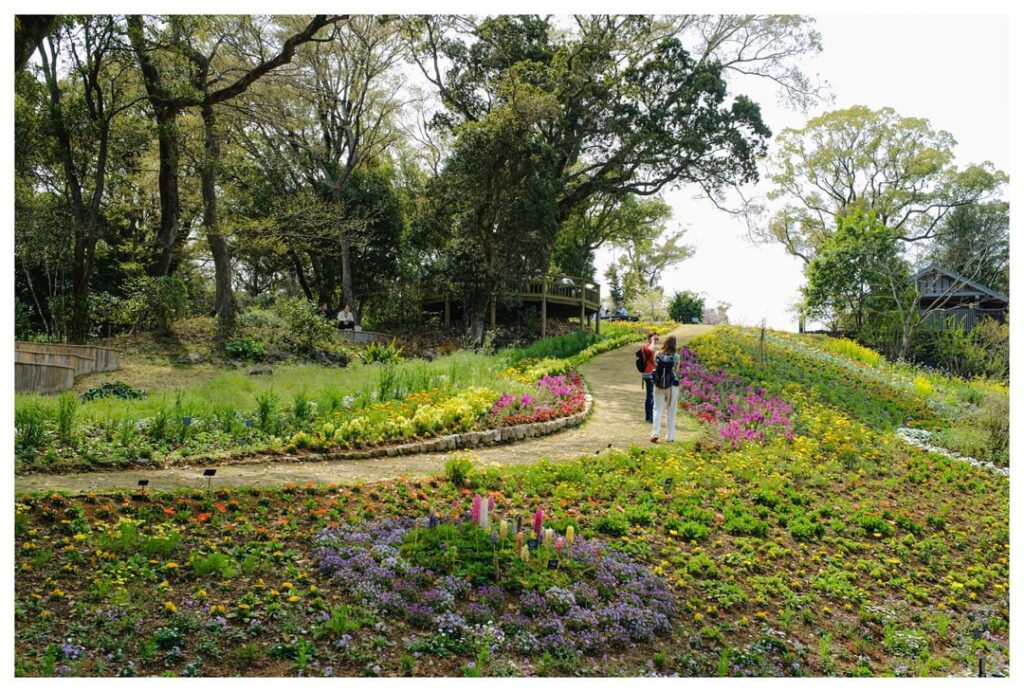 Makino Botanical Garden in Kochi