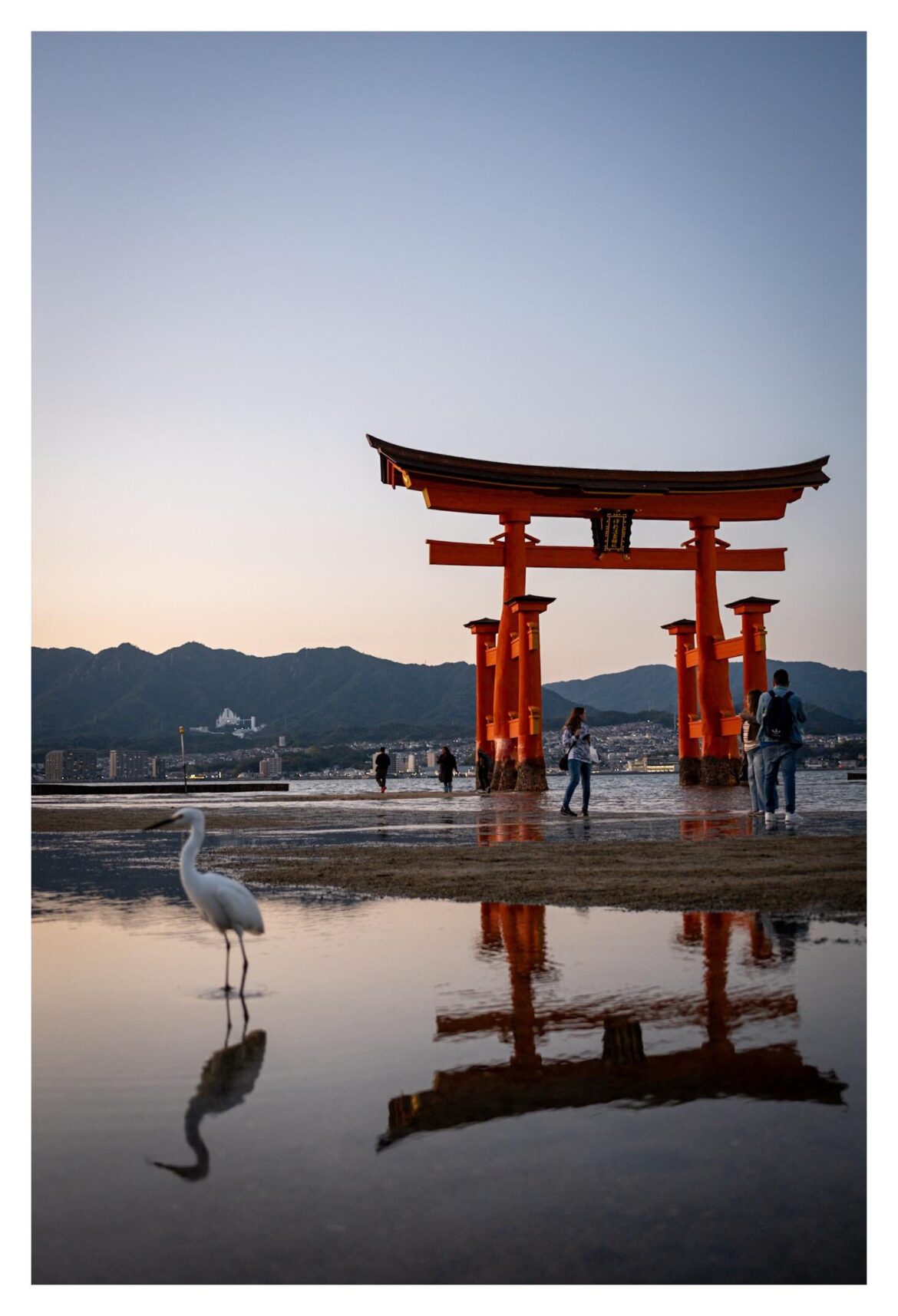 Itsukushima | November 2025
