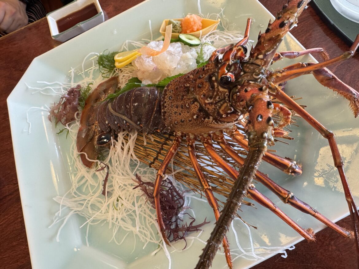 Japanese lobster (Ise-ebi) for lunch 🙏