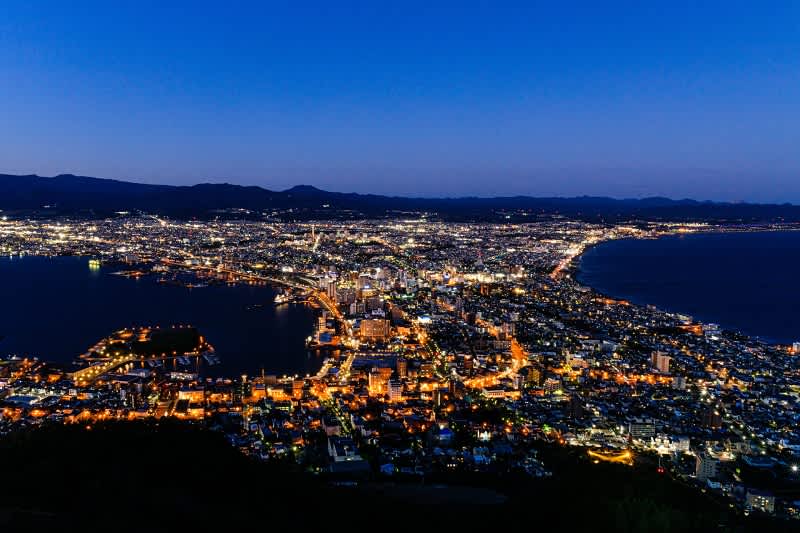 a view of hakodate city from mt. hakodate