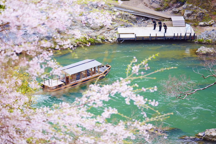 Hoshinoya Kyoto-only boat Hisi Lake and cherry blossom view / Photo = Hoshino Resort Group
