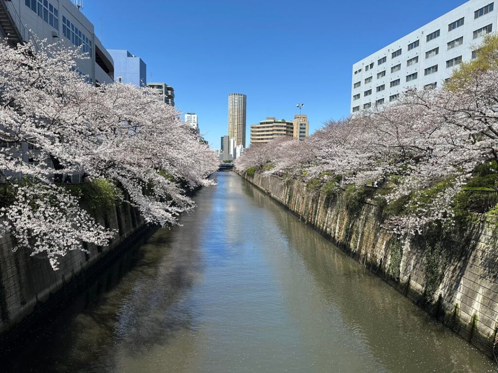 3 Weeks in Japan, One Year Ago