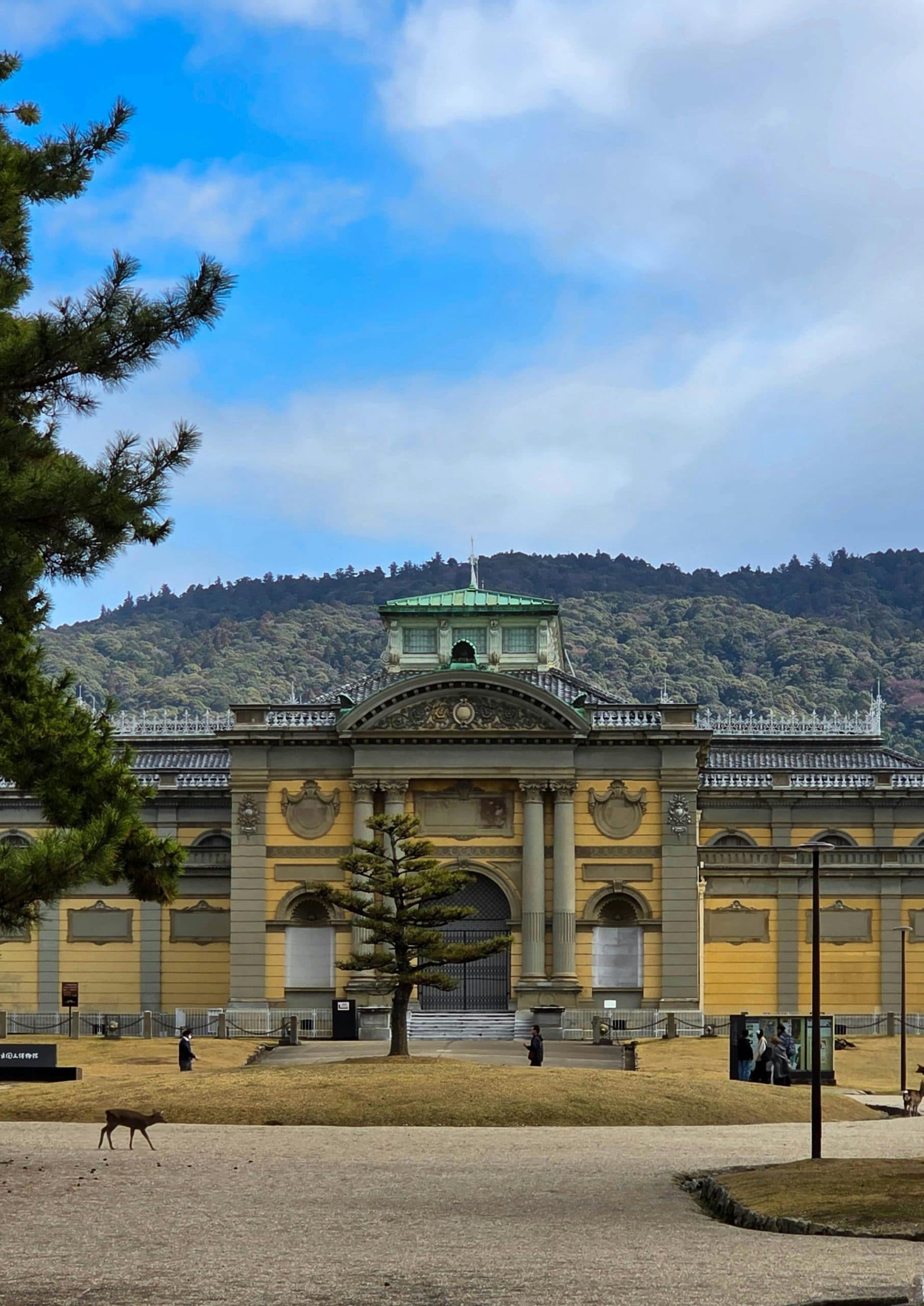 Kyoto International Manga Museum (Kyoto): Housed in a former elementary school, this museum features a "Wall of Manga" with over 50,000 volumes. Visitors can grab a book and lounge on the grass outside, making it a peaceful sanctuary for those who appreciate the medium’s history.