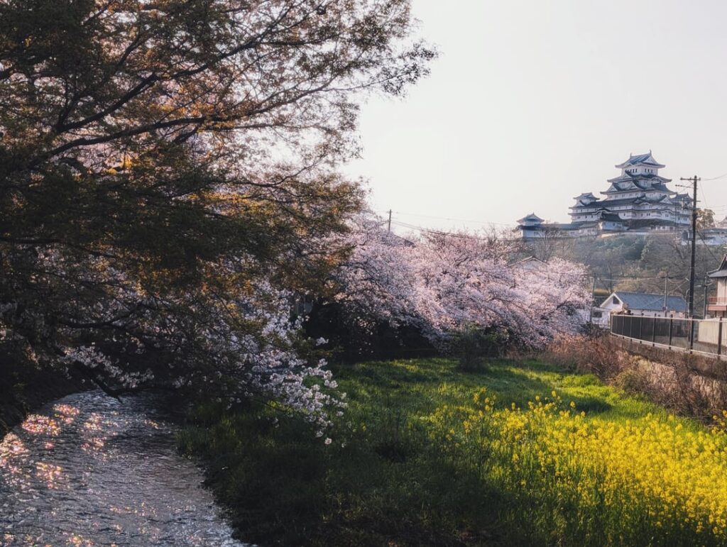 Himeji castle is so imposing, you can see it from many places around the city.