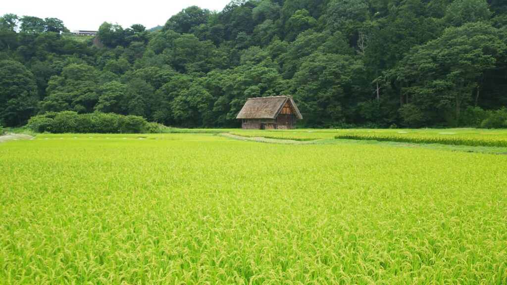 Shirakawa-go, August 30, 2017