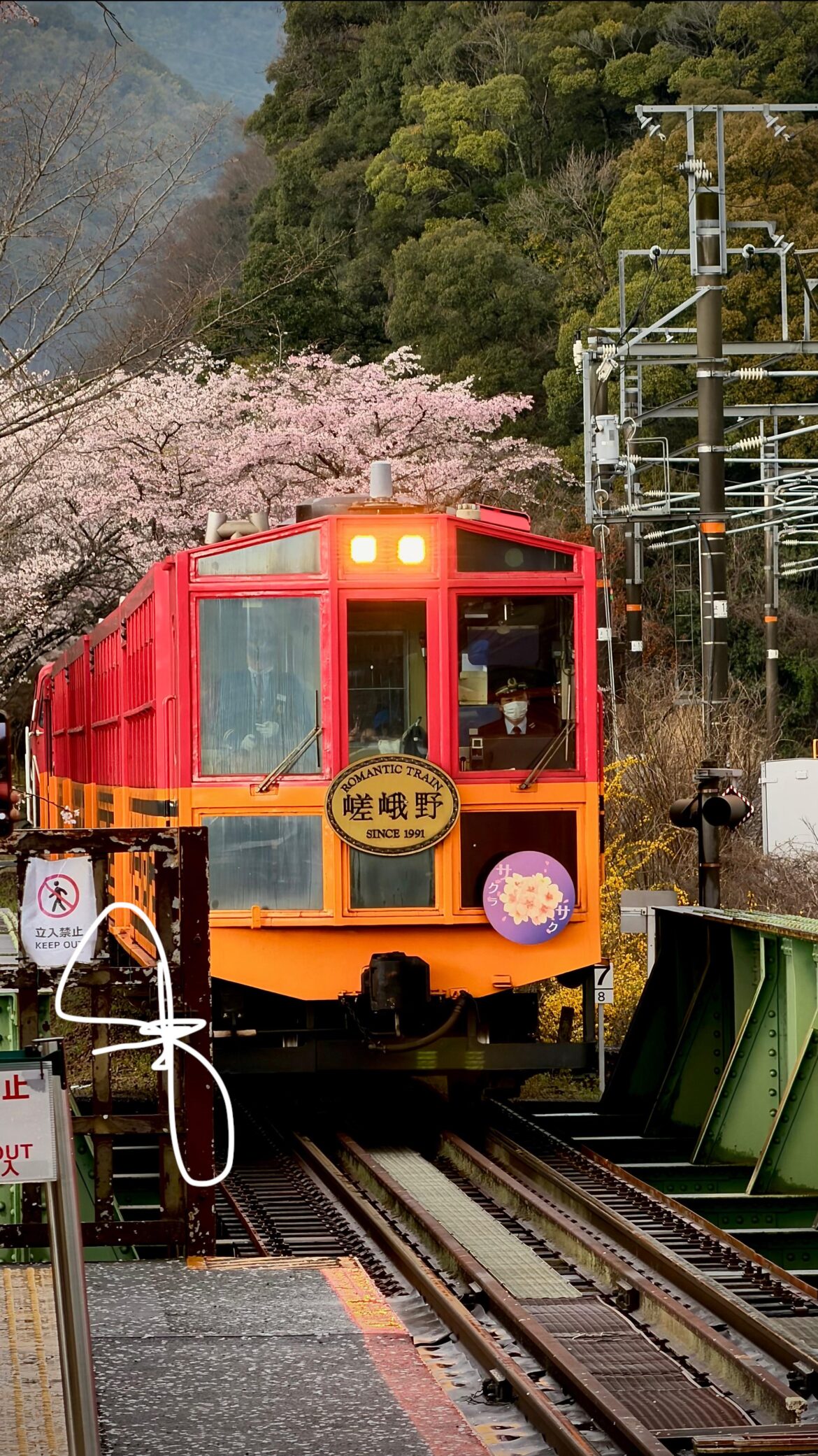 Sagano Romantic Train. 🌸🌸