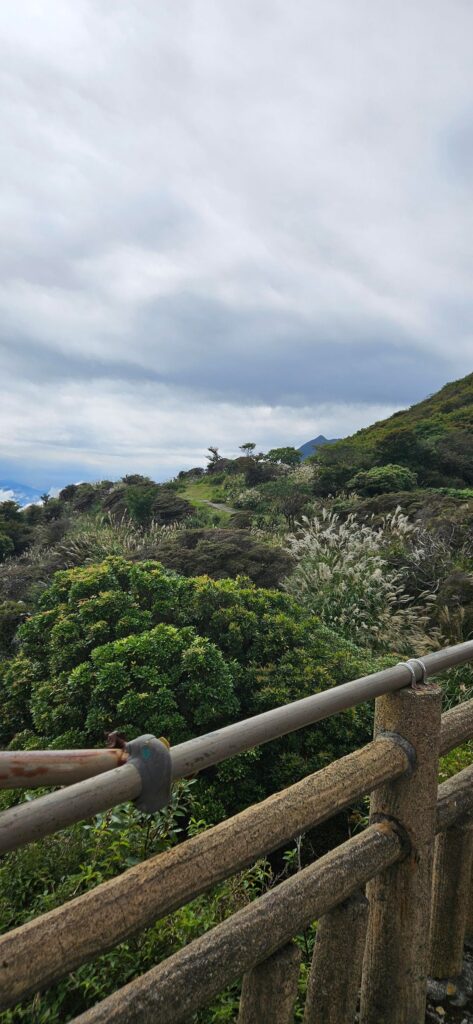 Some views on top of Beppu Ropeway
