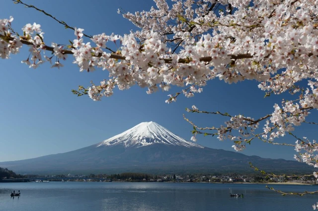 Rising interest in Japan's traditional culture and the four seasons - Ảnh 1. Rising interest in Japan's traditional culture and the four seasons - Ảnh 1.