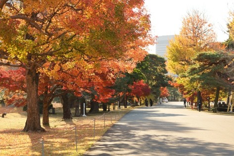 Rising interest in Japan's traditional culture and the four seasons - Ảnh 4. Rising interest in Japan's traditional culture and the four seasons - Ảnh 4.