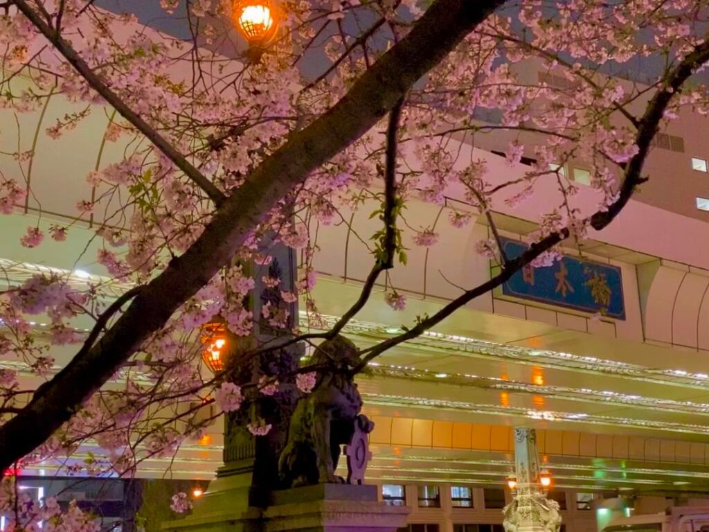 Sakura of Nihonbashi, Tokyo (2017/04/05)