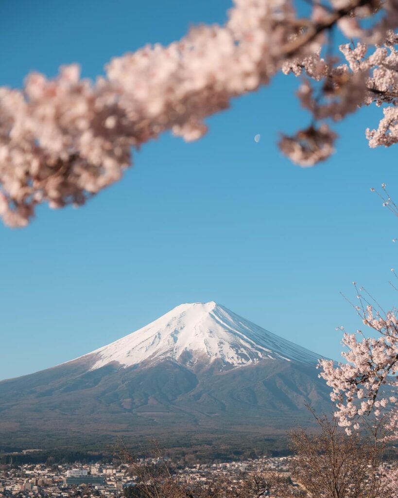 When both the flowers and the mountain compete for attention.