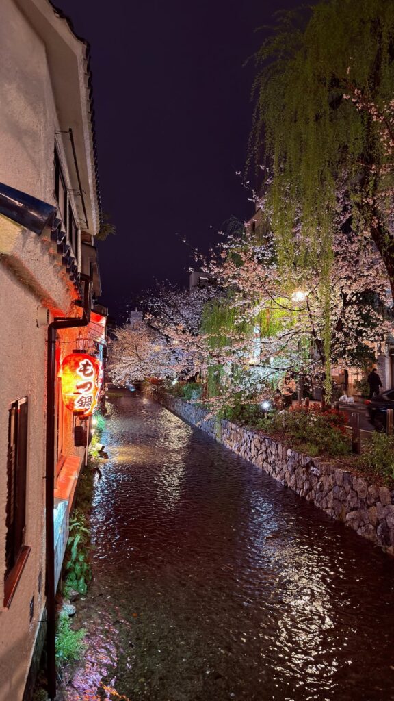 Kyoto in the rain in early April