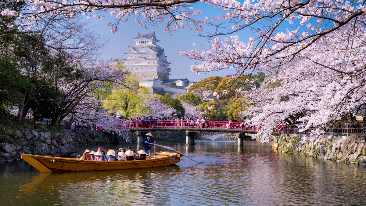 A boat sailing near Himeji Castle with cherry blossoms blooming in spring.